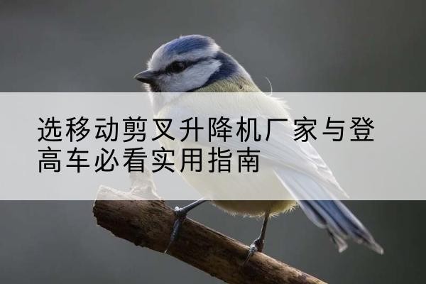 顺昌电动升降机厂家-选移动剪叉升降机厂家与登高车必看实用指南