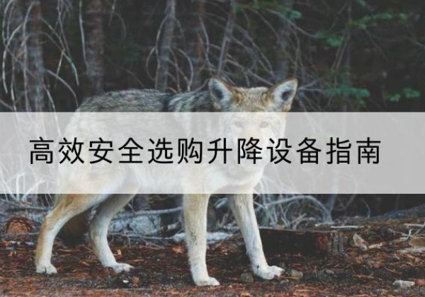 顺昌升降货梯厂家推荐-*安全选购升降设备指南
