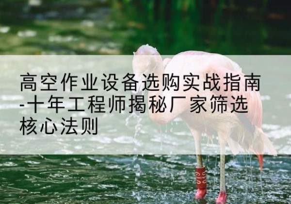 顺昌剪叉式升降机厂家-高空作业设备选购实战指南-十年工程师揭秘厂家筛选核心法则